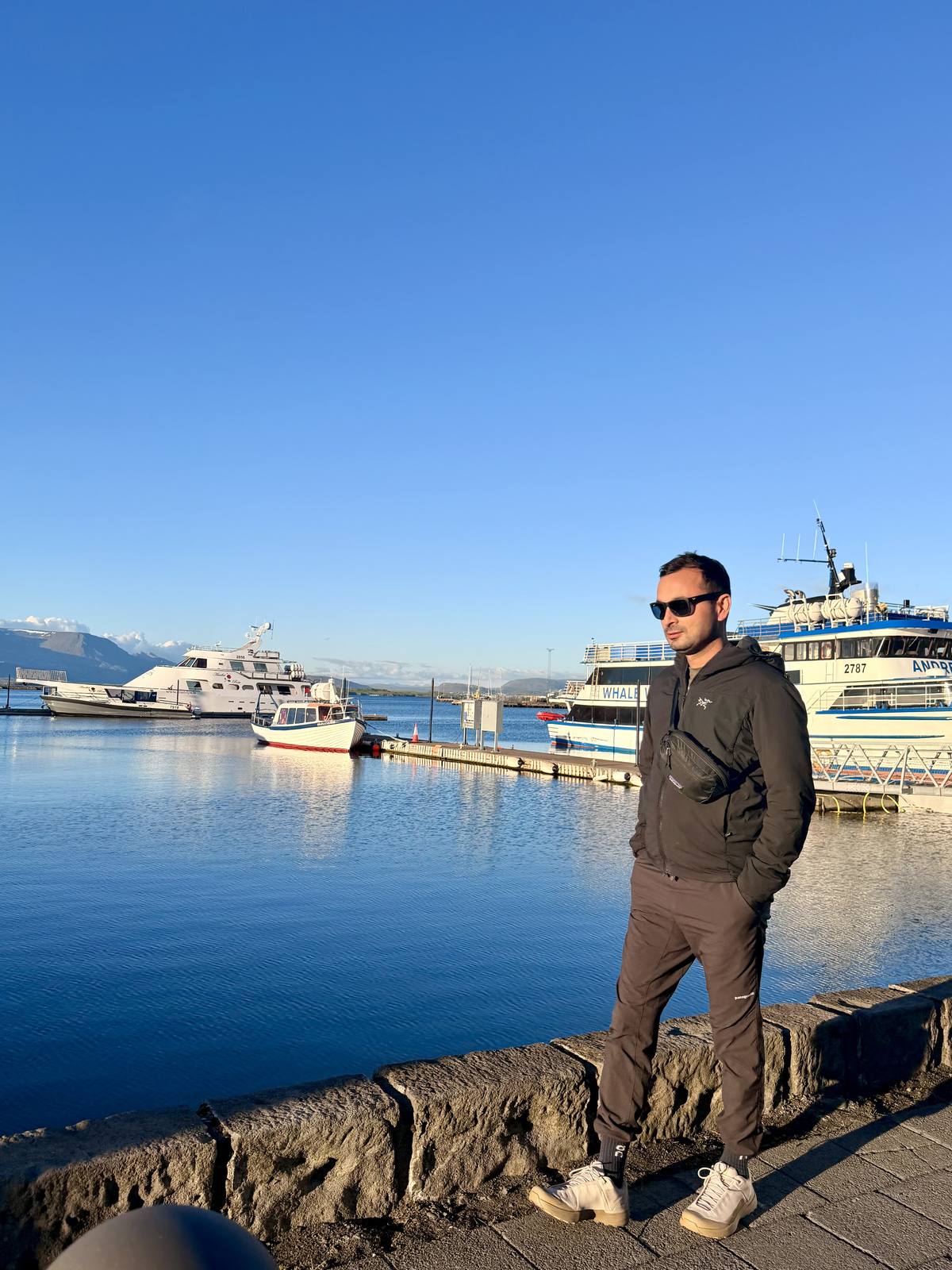 Reykjavik harbor at golden hour